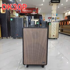 loa kéo dragon dk30p-1