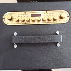 LOA KÉO DRAGONVIET DK22SA
