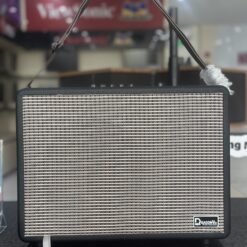 LOA KÉO DRAGON DK20S(2)